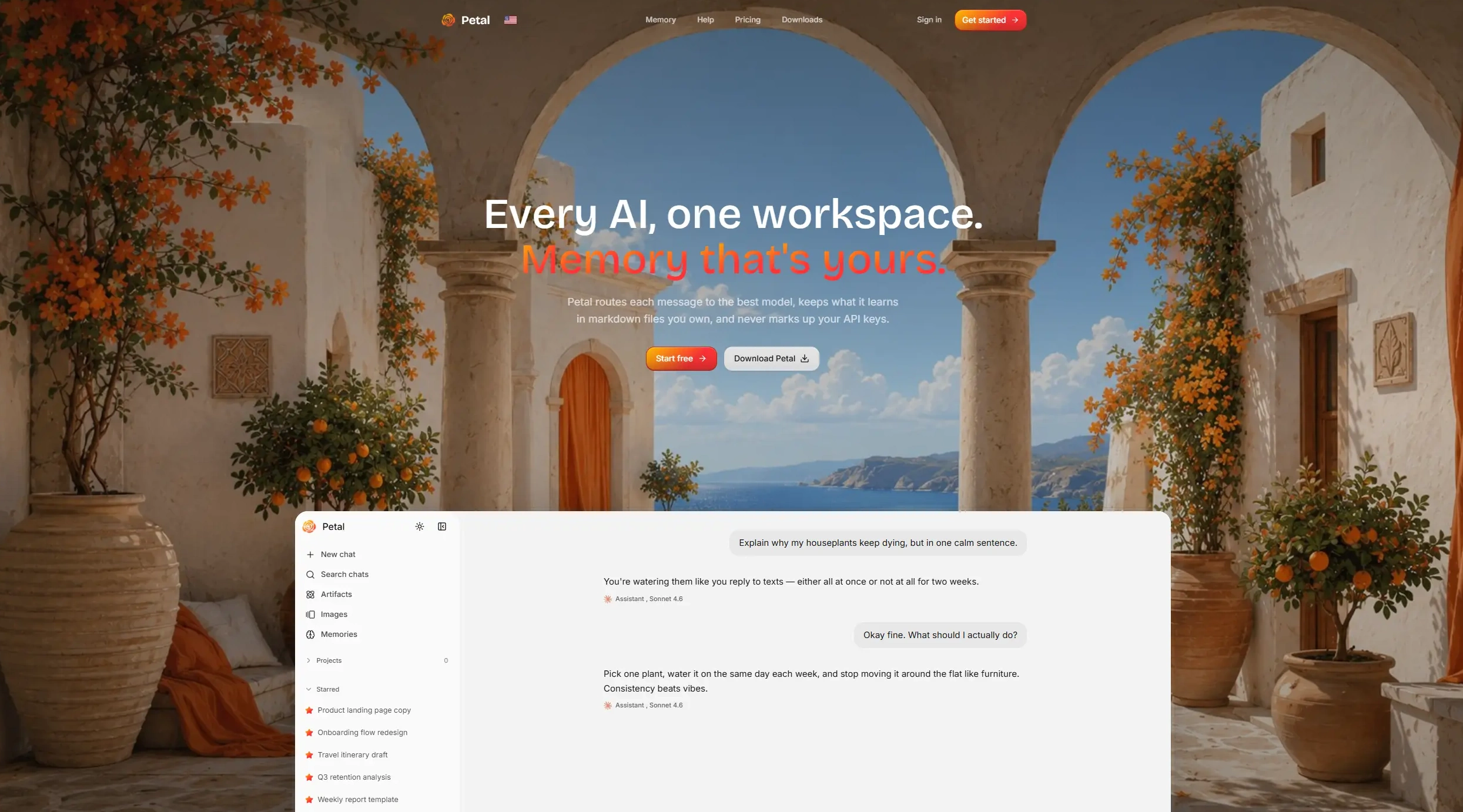 The Petal workspace interface